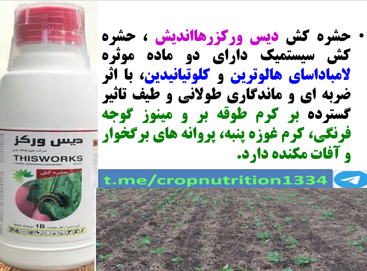 حشره کش دیس ورکز رهااندیش برای کنترل لارو پروانه ها به خصوص کرم طوقه بر-قسمت سوم 433