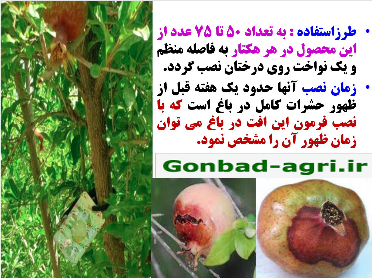 ترکیب گیاهی رهااندیش به عنوان دور کننده پروانه برای جلوگیری از خسارت کرم گلوگاه انار – قسمت دوم 431