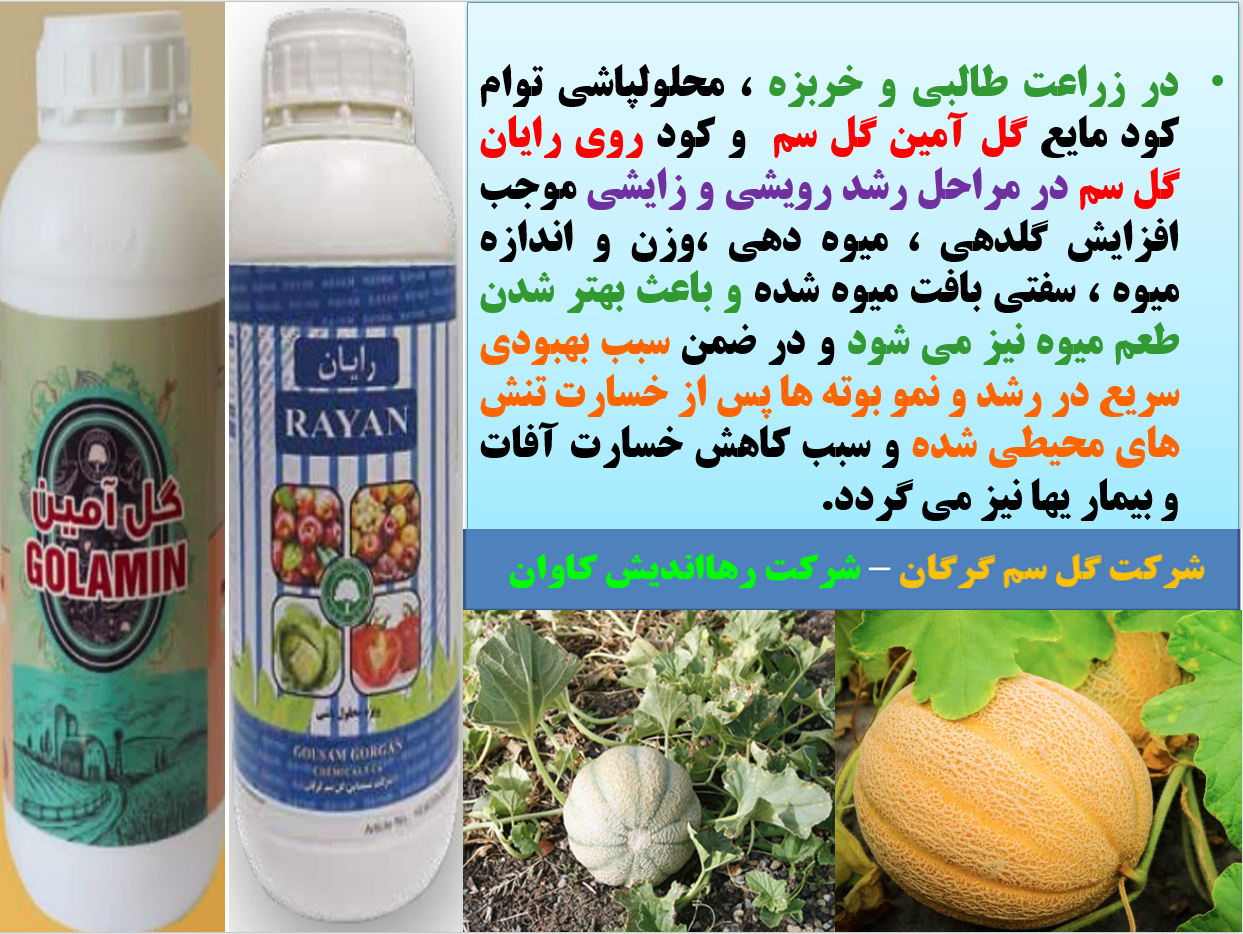 افزایش تولید گلدهی ، میوه دهی و کیفیت میوه طالبی و خربزه - قسمت اول 426