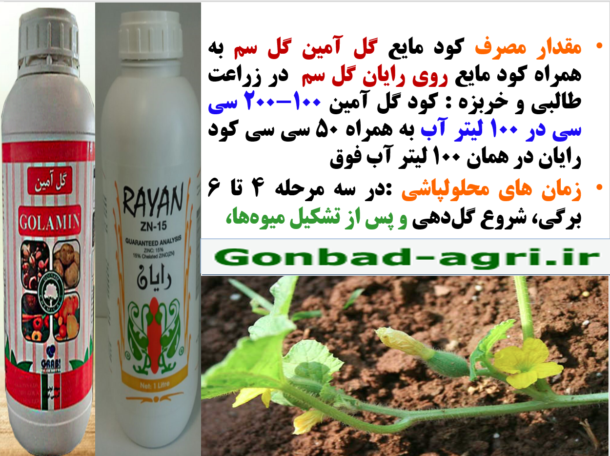 افزایش تولید گلدهی ، میوه دهی و کیفیت میوه طالبی و خربزه – قسمت دوم 425
