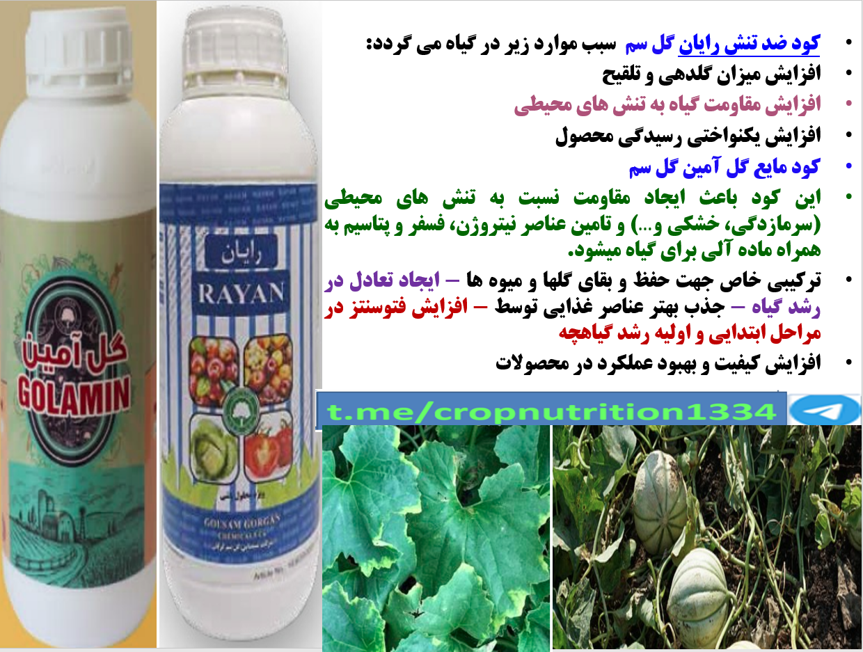 افزایش تولید گلدهی ، میوه دهی و کیفیت میوه طالبی و خربزه – قسمت سوم 424