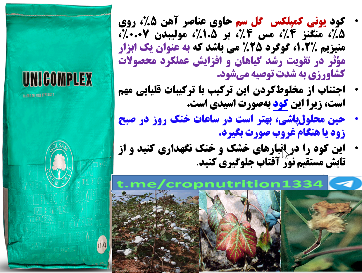 افزایش توان تولید گل و قوزه در بوته های پنبه با مصرف کود یونی کمپلکس گل سم – قسمت سوم 391