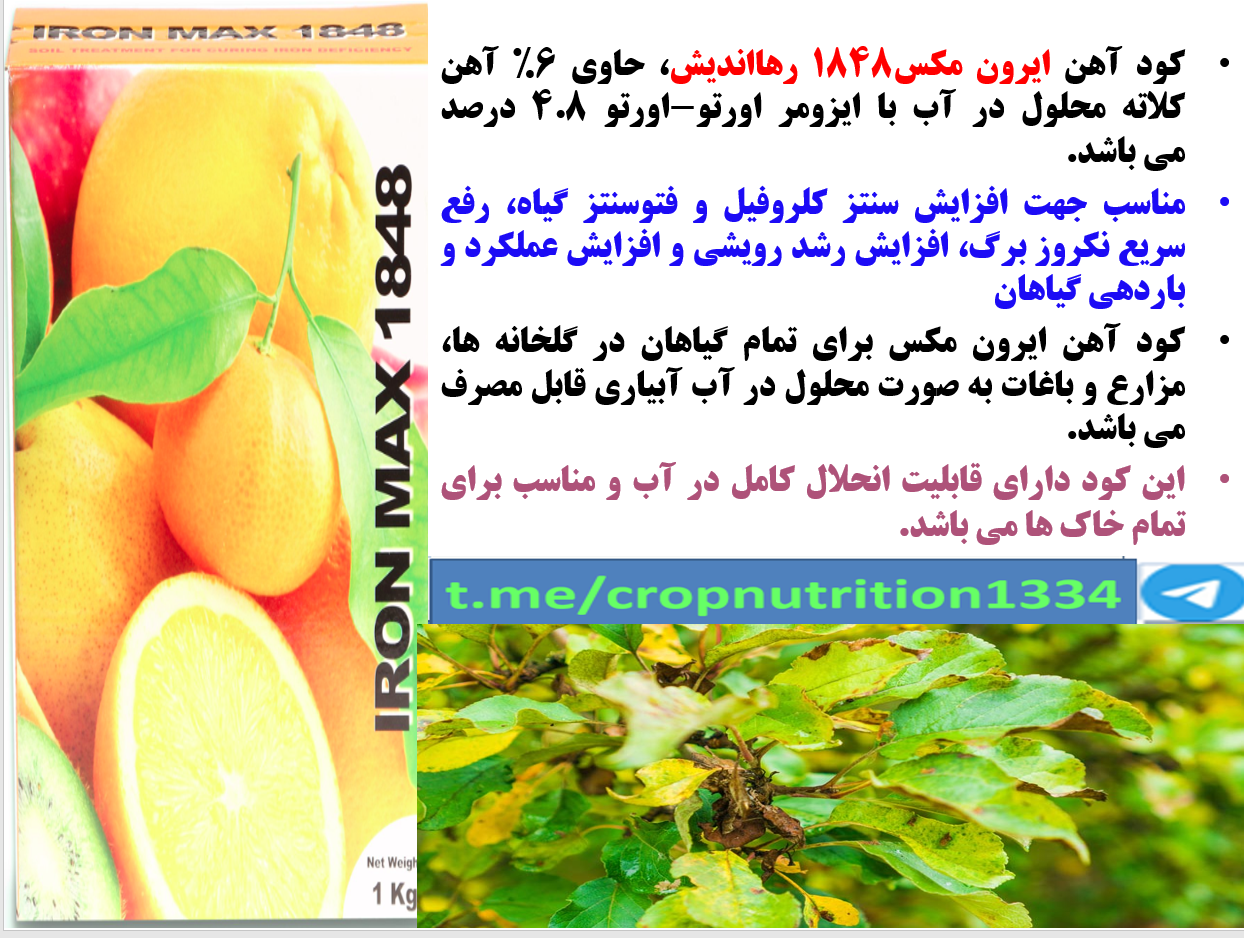 کود آهن ایرون مکس رهااندیش برای تقویت گلدهی و میوه دهی درختان آلو- قسمت سوم 409