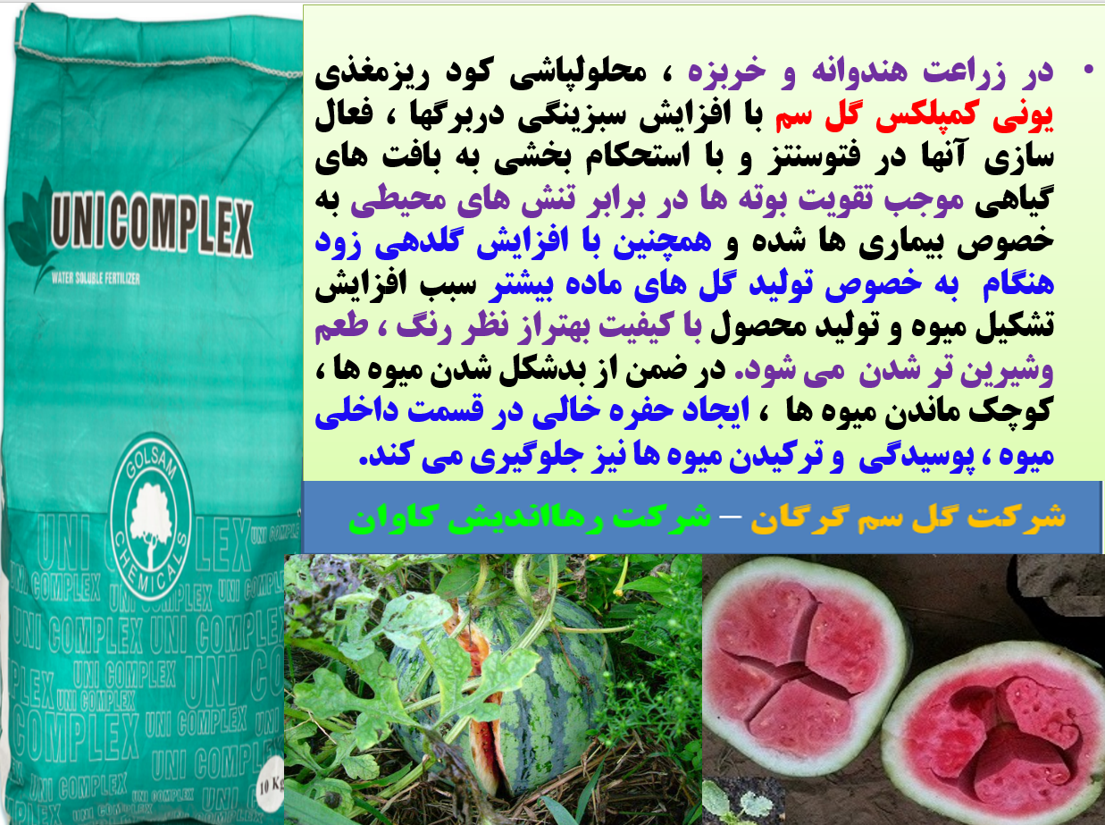 کودریزمغذی یونی کمپلکس گل سم برای افزایش تولید و کیفیت میوه های هندوانه و خربزه - قسمت اول 408