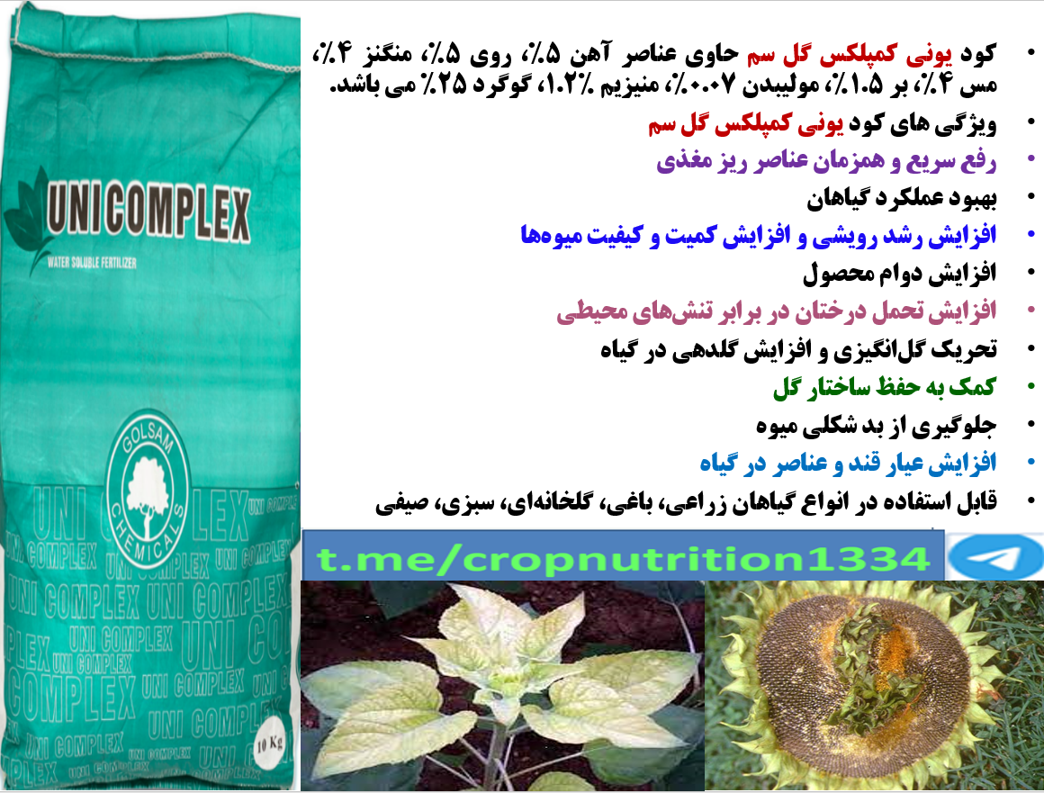 اهمیت کاربرد کود یونی کمپلکس گل سم در زراعت آفتابگردان دیم- قسمت سوم 352