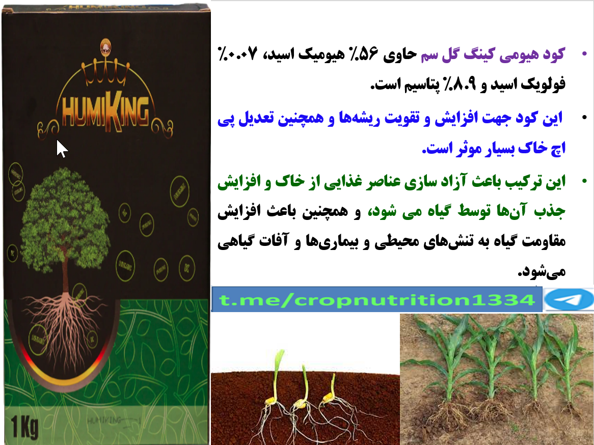 کودآلی هیومی کینگ گل سم بذر مال موثر برای جوانه زنی بذور ذرت – قسمت سوم 349