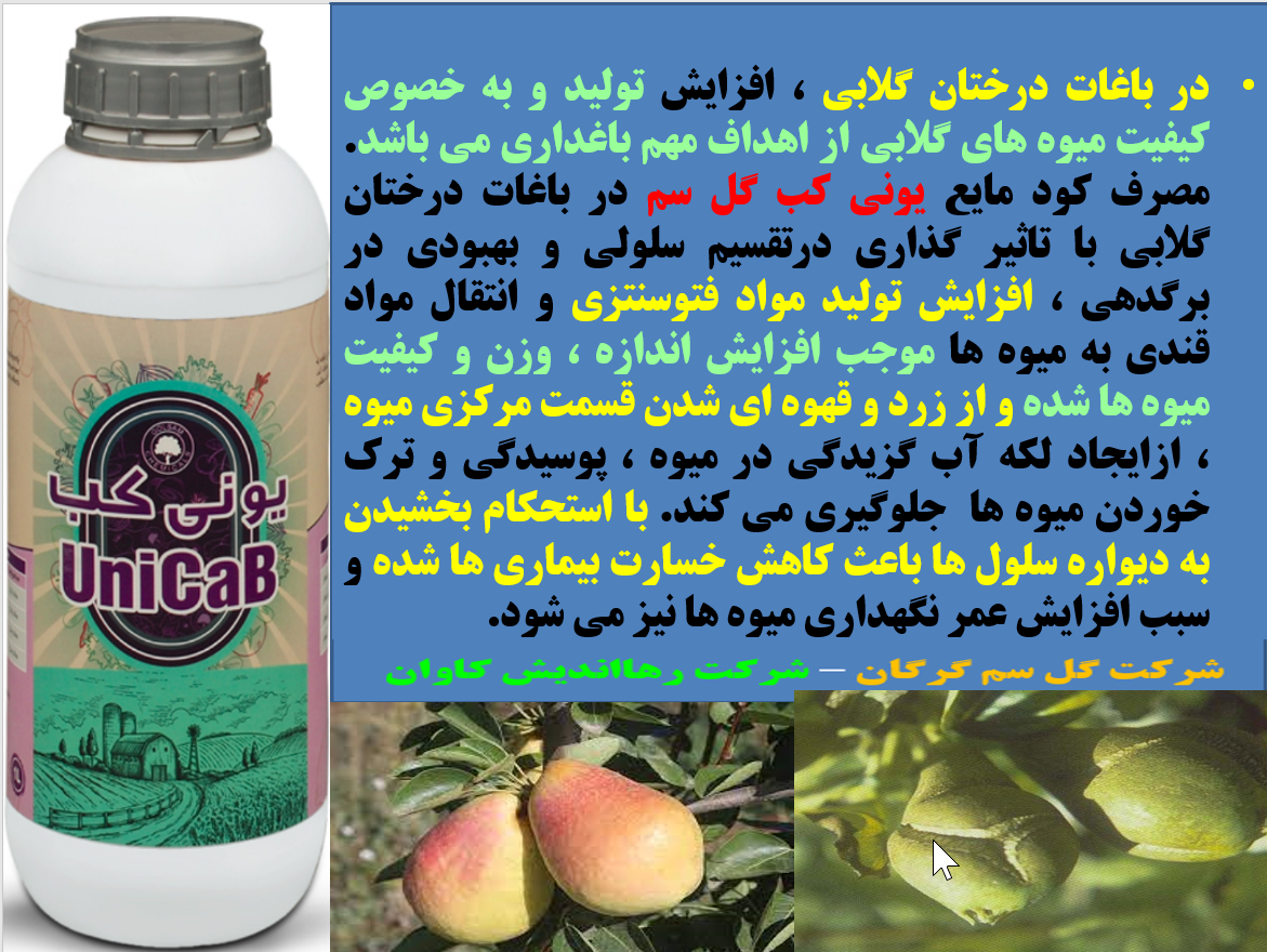 تاثیر کود یونی کب گل سم در افزایش تولید و کیفیت میوه های گلابی - قسمت اول 363
