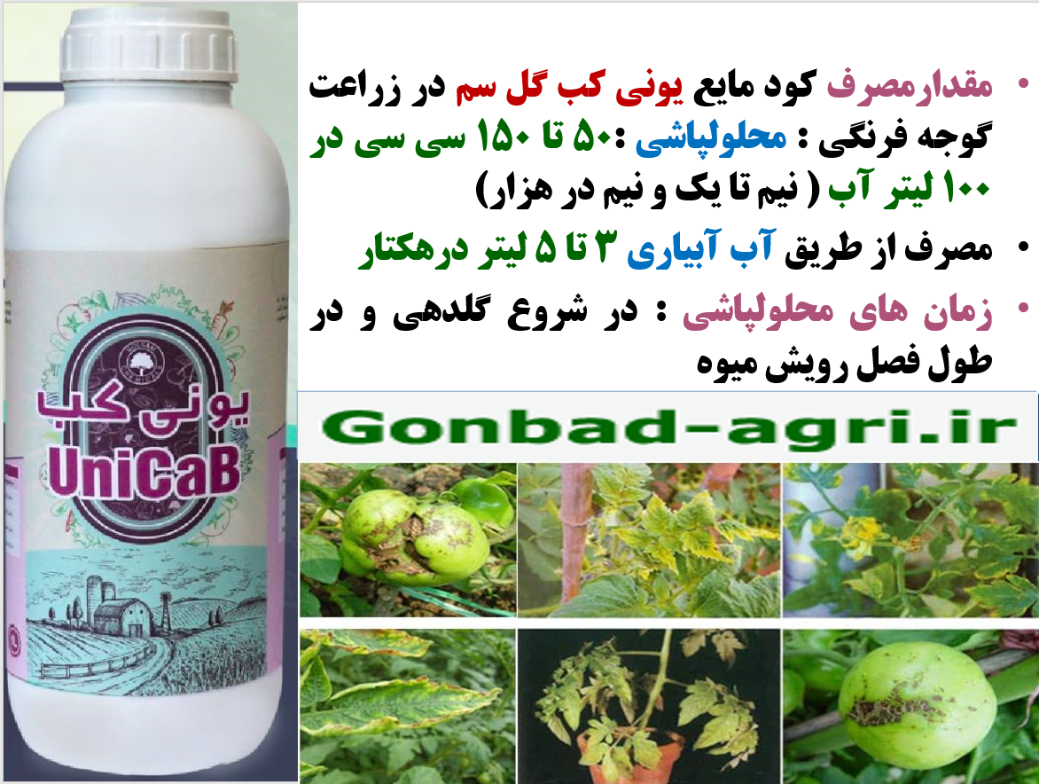 تاثیر کود یونی کب گل سم روی افزایش تولید و کیفیت میوه گوجه فرنگی- قسمت دوم 368