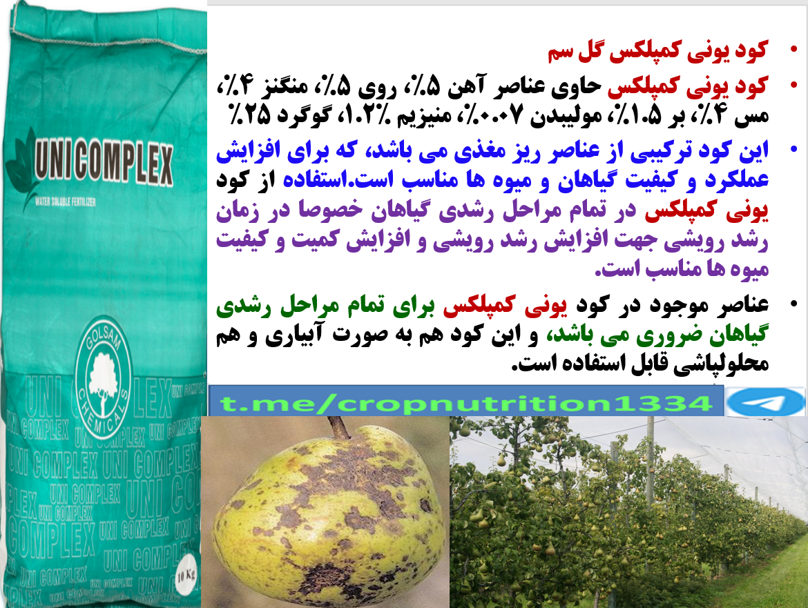 افزایش تولید میوه گلابی و کیفیت آن با محلولپاشی یونی کمپلکس گل سم- قسمت سوم 365