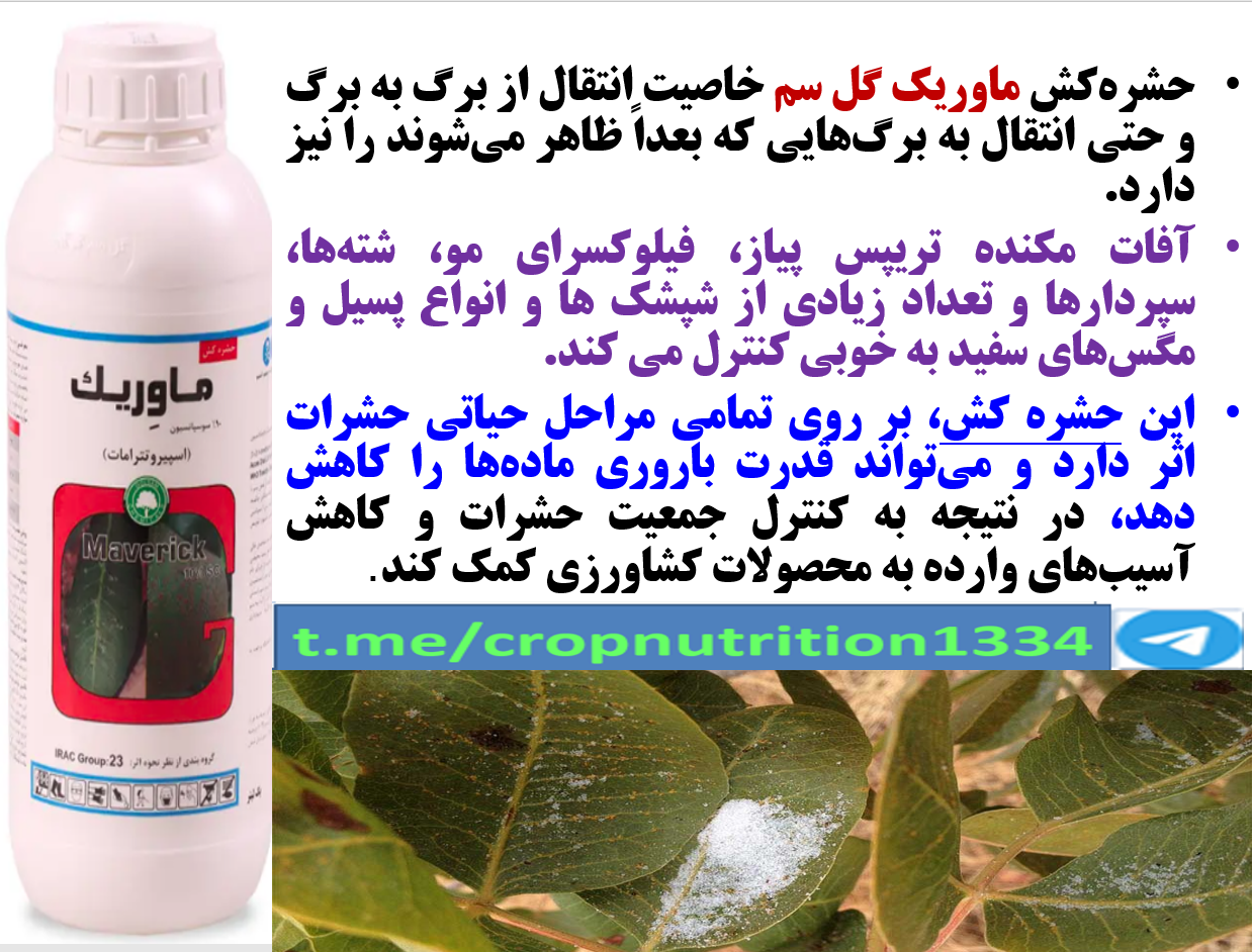 حشره کش ماوریک گل سم برای کنترل موثر آفات مکنده به خصوص پسیل پسته – قسمت سوم 346