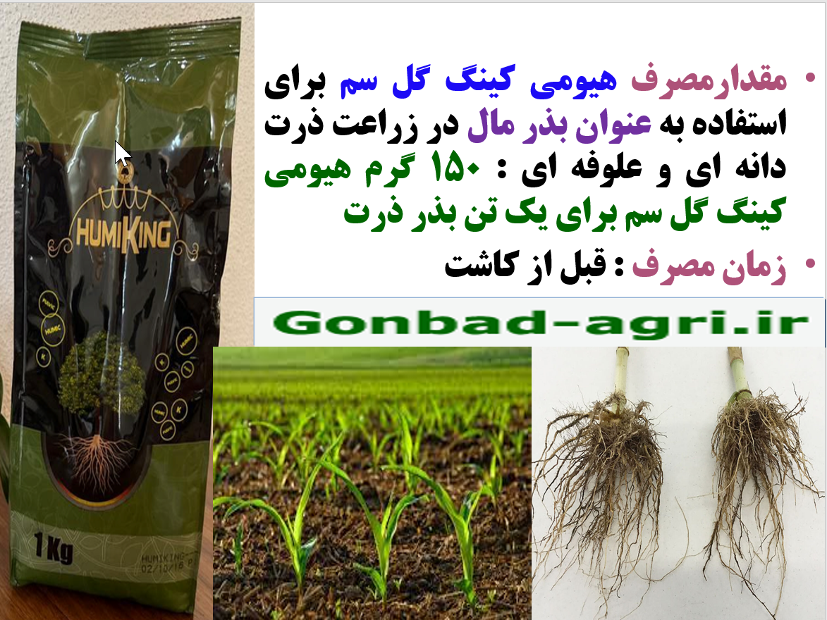 کودآلی هیومی کینگ گل سم بذر مال موثر برای جوانه زنی بذور ذرت – قسمت دوم 350