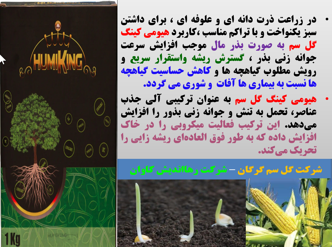 کودآلی هیومی کینگ گل سم بذر مال موثر برای جوانه زنی بذور ذرت - قسمت اول 351