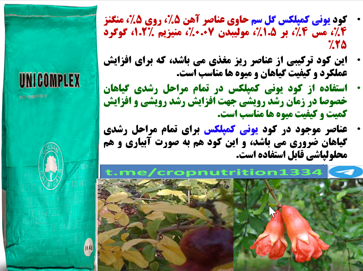 تاثیر کود یونی کمپلکس گل سم در افزایش تولید و کیفیت میوه های انار- قسمت سوم 358