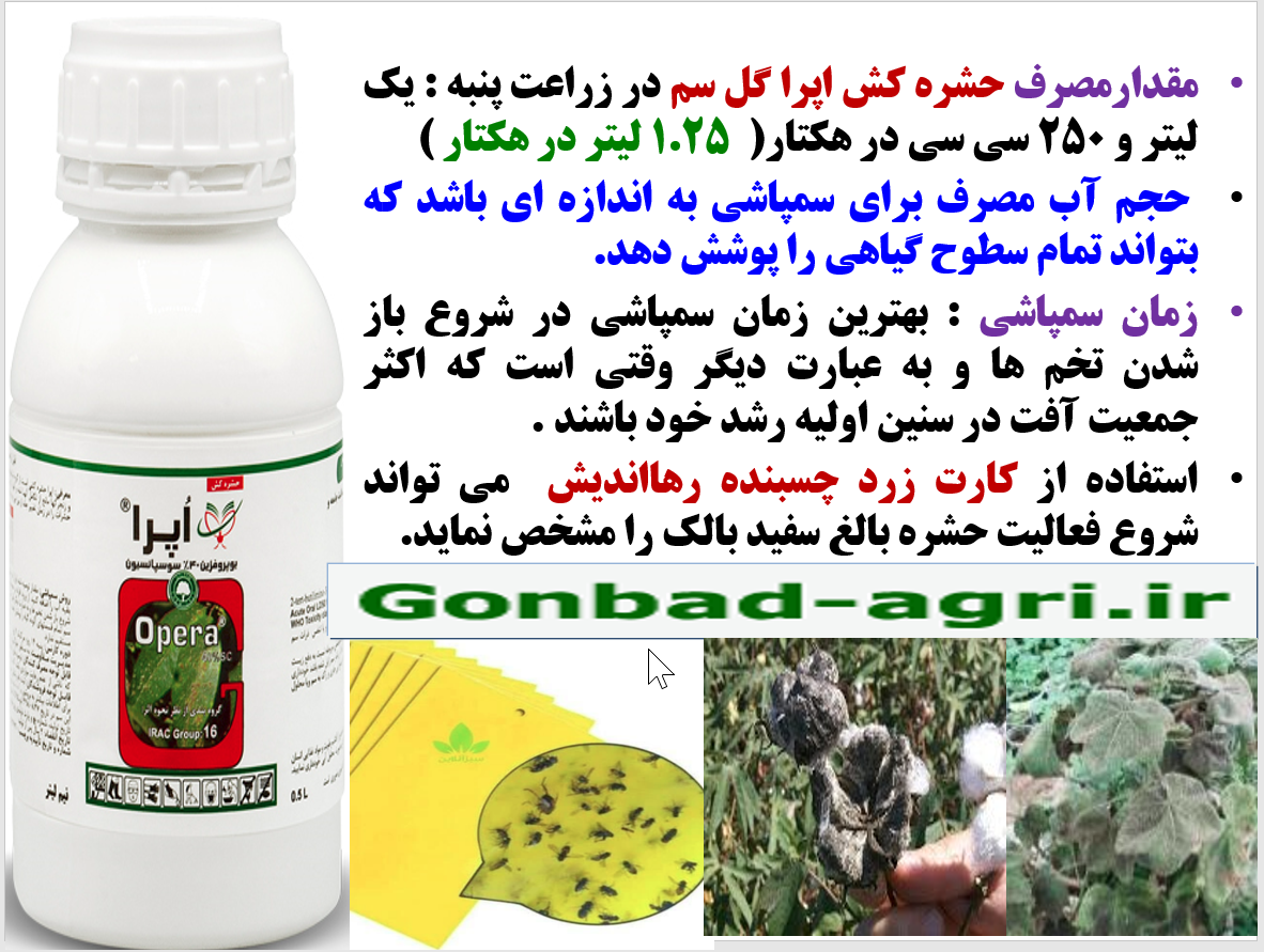 حفظ توان بوته های پنبه در افزایش تولید وش پنبه و کیفیت آن با حشره کش اپرا گل سم – قسمت دوم 320