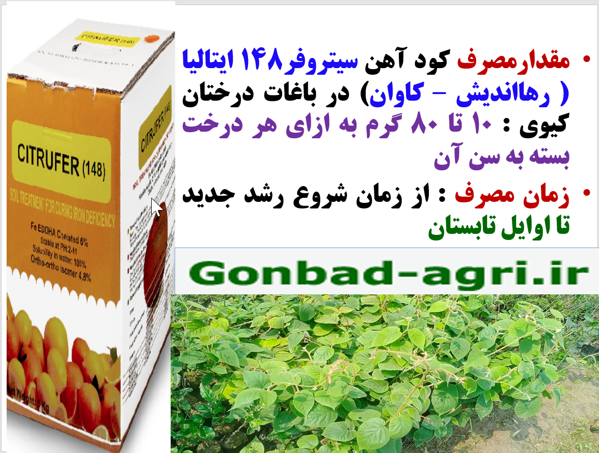 افزایش تولید و کیفیت میوه درختان کیوی با کود سیتروفر رهااندیش- قسمت دوم 341