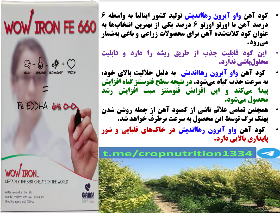 افزایش تولید و کیفیت میوه درختان سیب با کود واو ایرون رهااندیش- قسمت سوم 337