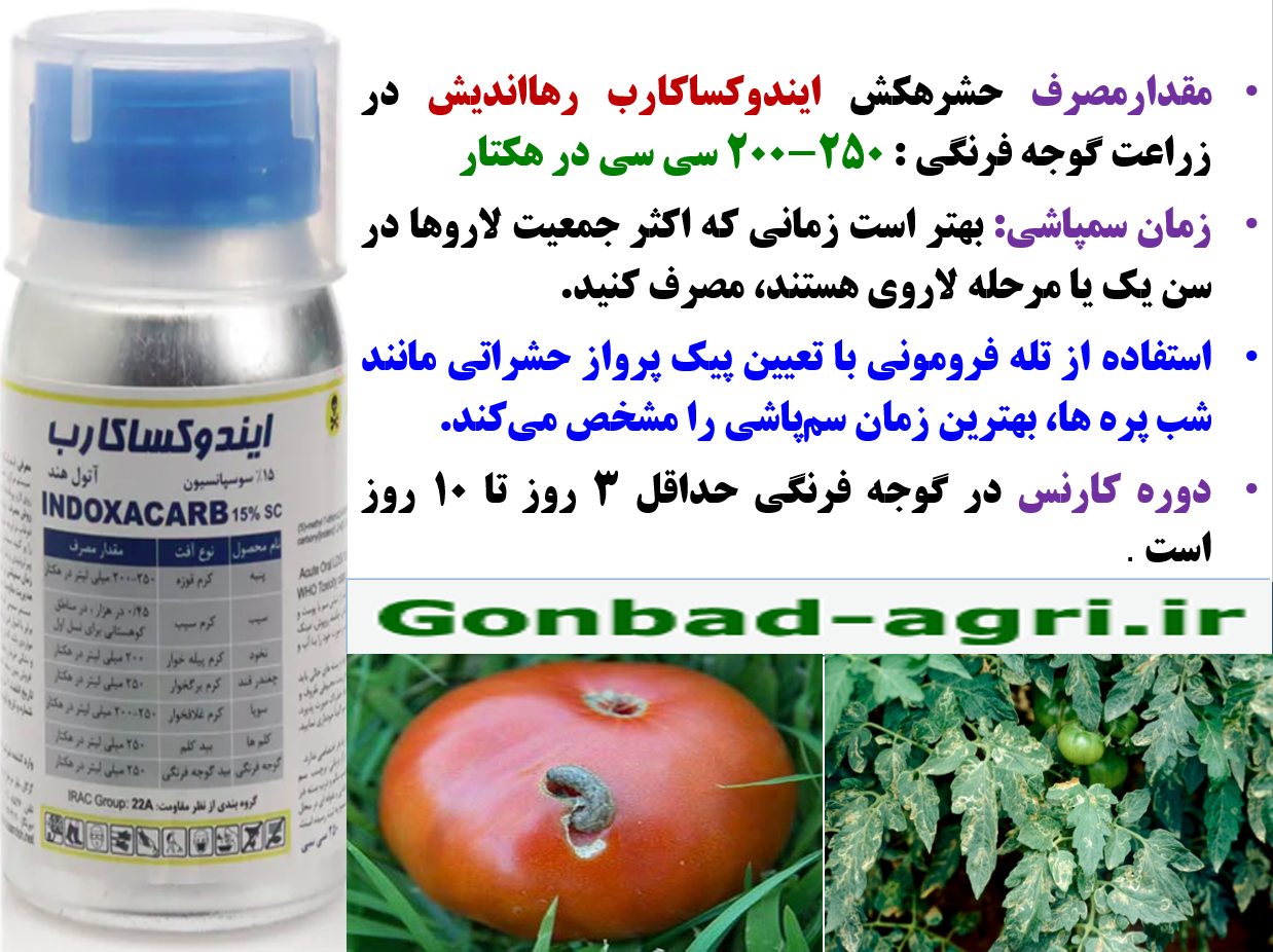 کنترل موثر کرم میوه گوجه فرنگی با حشره کش ایندوکساکارب رهااندیش- قسمت دوم 329