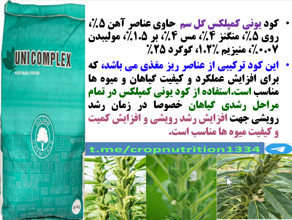 افزایش توان بوته های کنجد در تولید کپسول و دانه با کود یونی کمپلکس گل سم- قسمت سوم 304