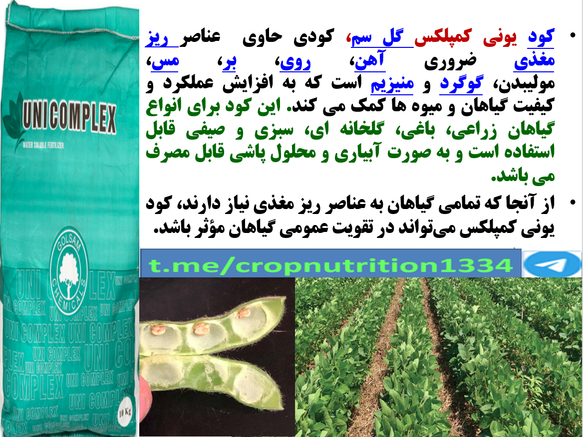 افزایش غلاف بندی و تولید دانه سویا با کود یونی کمپلکس گل سم – قسمت سوم 295