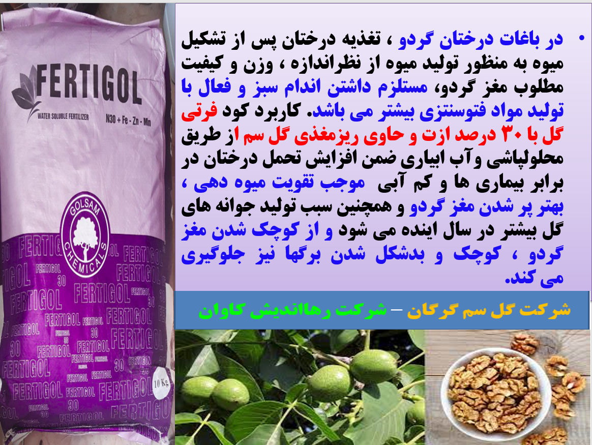 اهمیت کاربرد کود فرتی گل ۳۰% ازت دارای ریزمغذی در باغات درختان گردو- قسمت اول 300