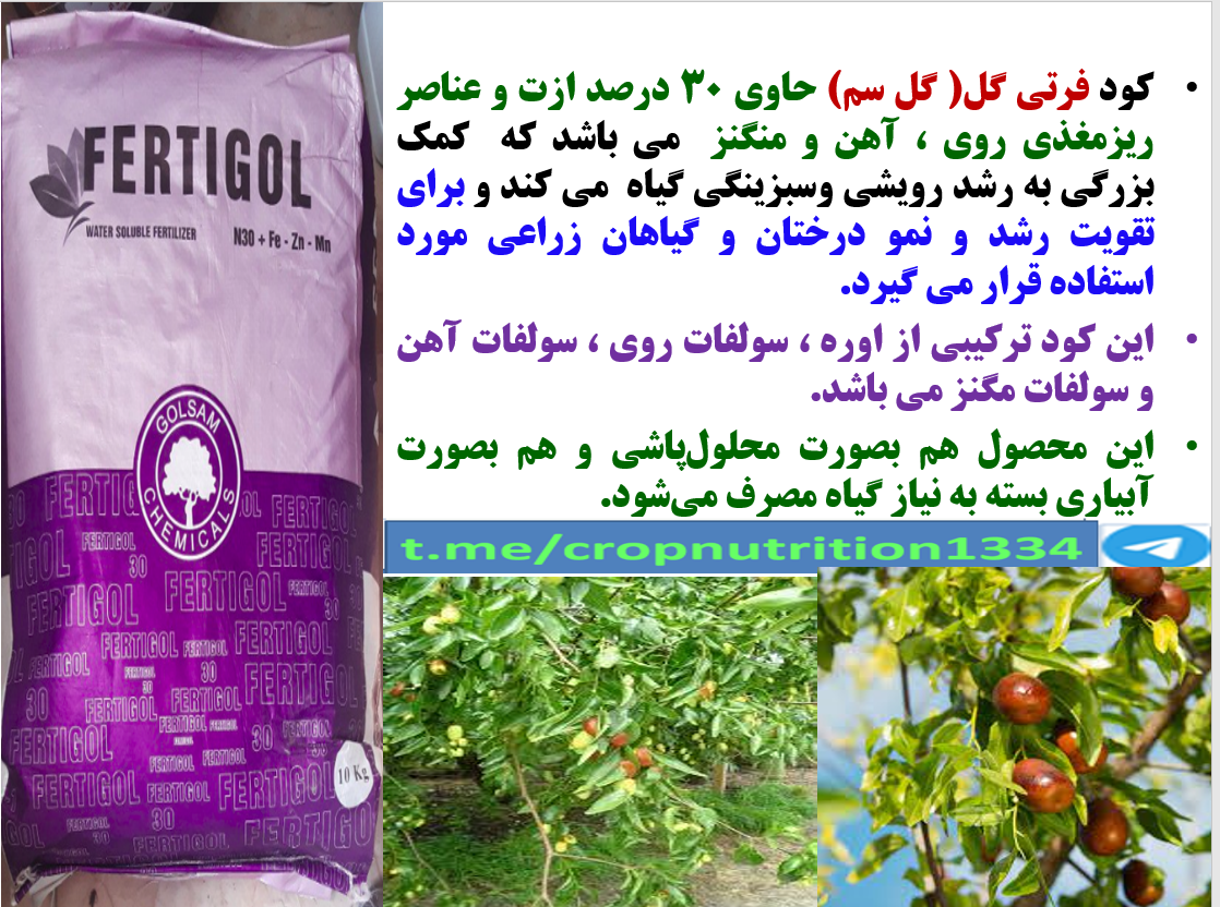 تاثیر کود فرتی گل ۳۰% ازت در افزایش تولید میوه درخت عناب- قسمت سوم 286
