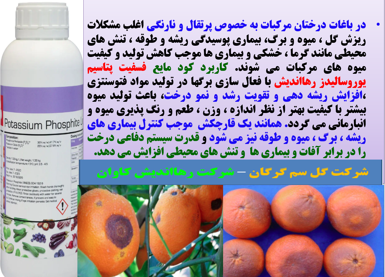 کنترل بیماری های درختان مرکبات و افزایش تولید و کیفیت میوه های آن - قسمت اول 273