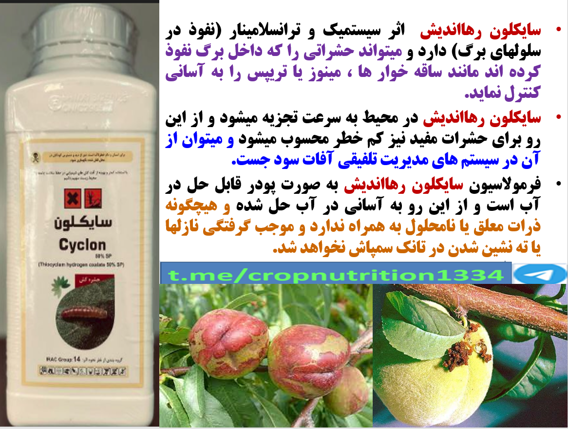 حشره کش سایکلون رهااندیش کنترل کننده آفات مکنده و جونده درختان میوه به خصوص کرم سرشاخه خوار – قسمت سوم 250