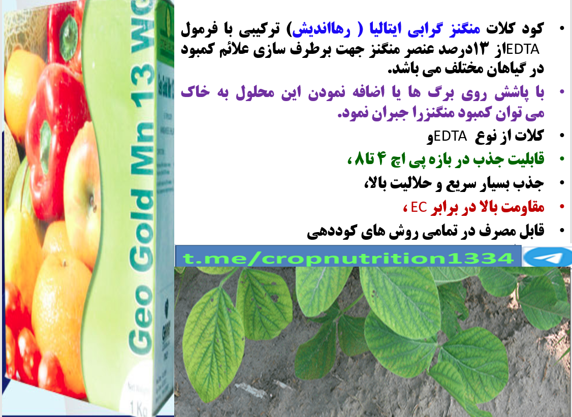 اهمیت مصرف کود ژئوگلد منگنز رهااندیش در زراعت سویا – قسمت سوم 274
