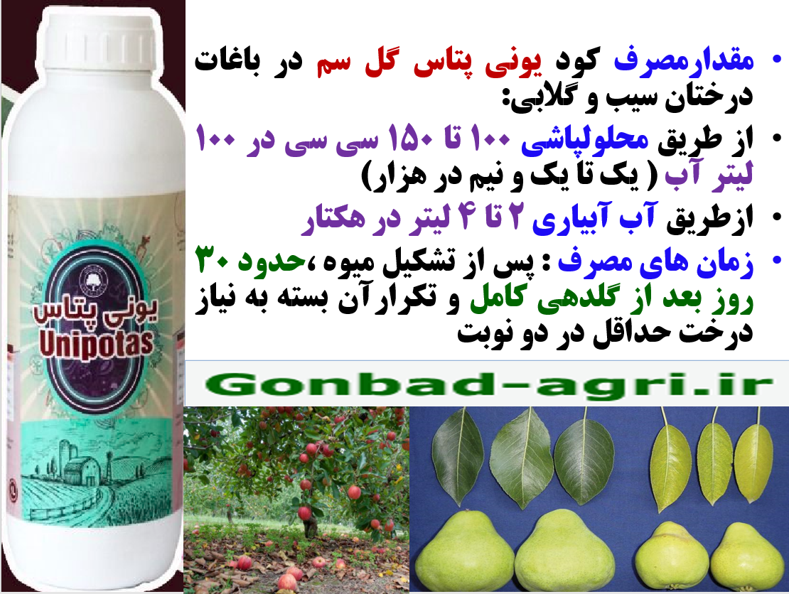 افزایش کیفیت میوه های سیب و گلابی با کود یونی پتاس گل سم – قسمت دوم 281