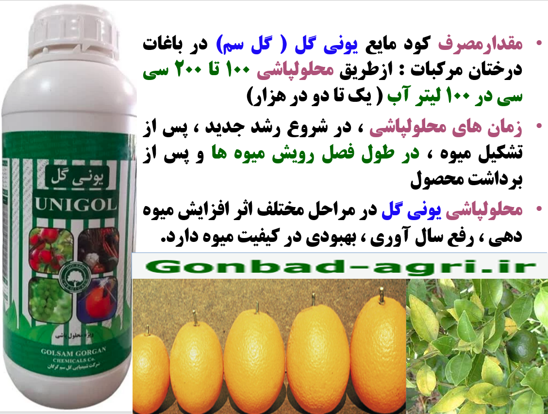 افزایش کیفیت میوه های مرکبات با یونی گل گلسم – قسمت دوم 248
