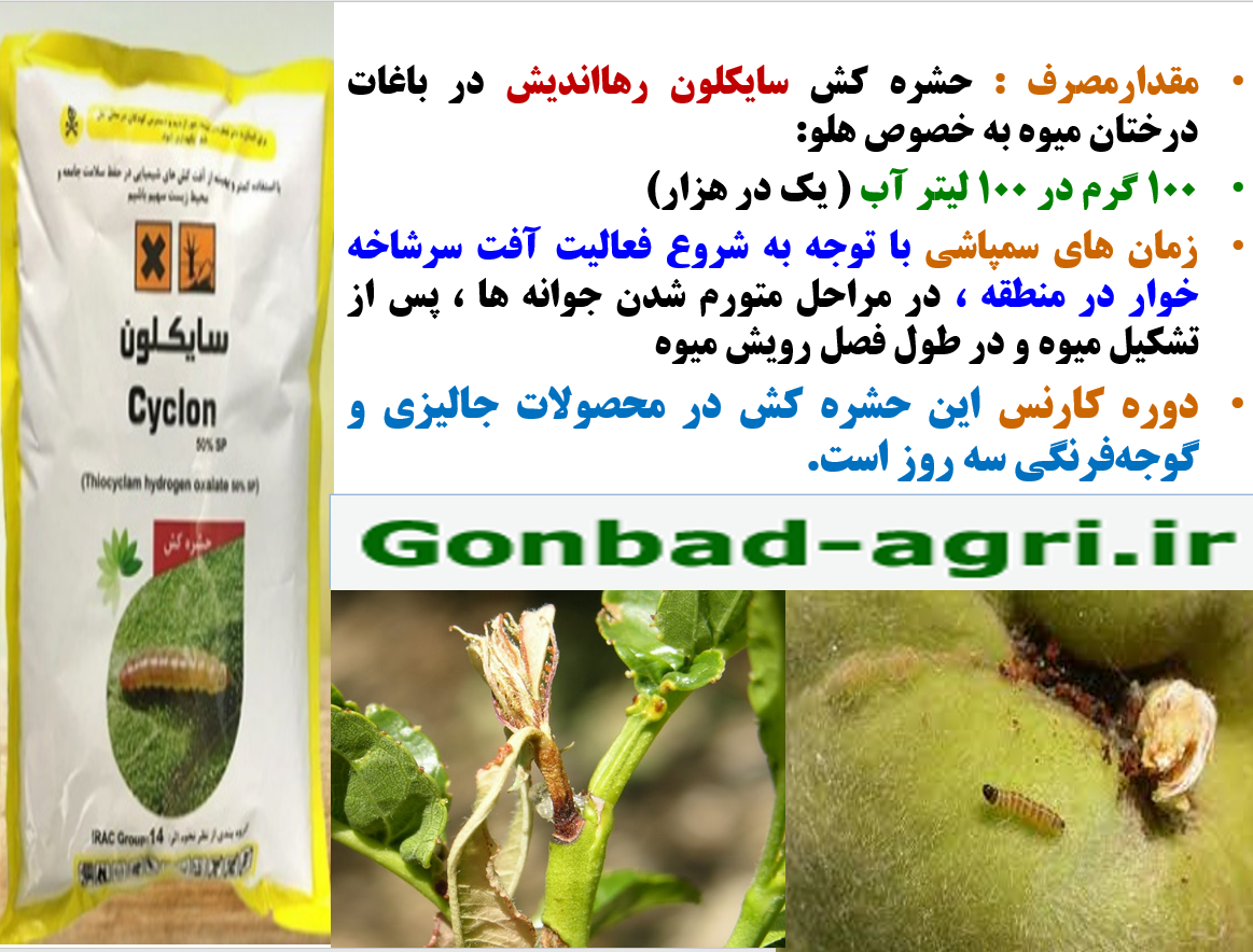 حشره کش سایکلون رهااندیش کنترل کننده آفات مکنده و جونده درختان میوه به خصوص کرم سرشاخه خوار – قسمت دوم 251