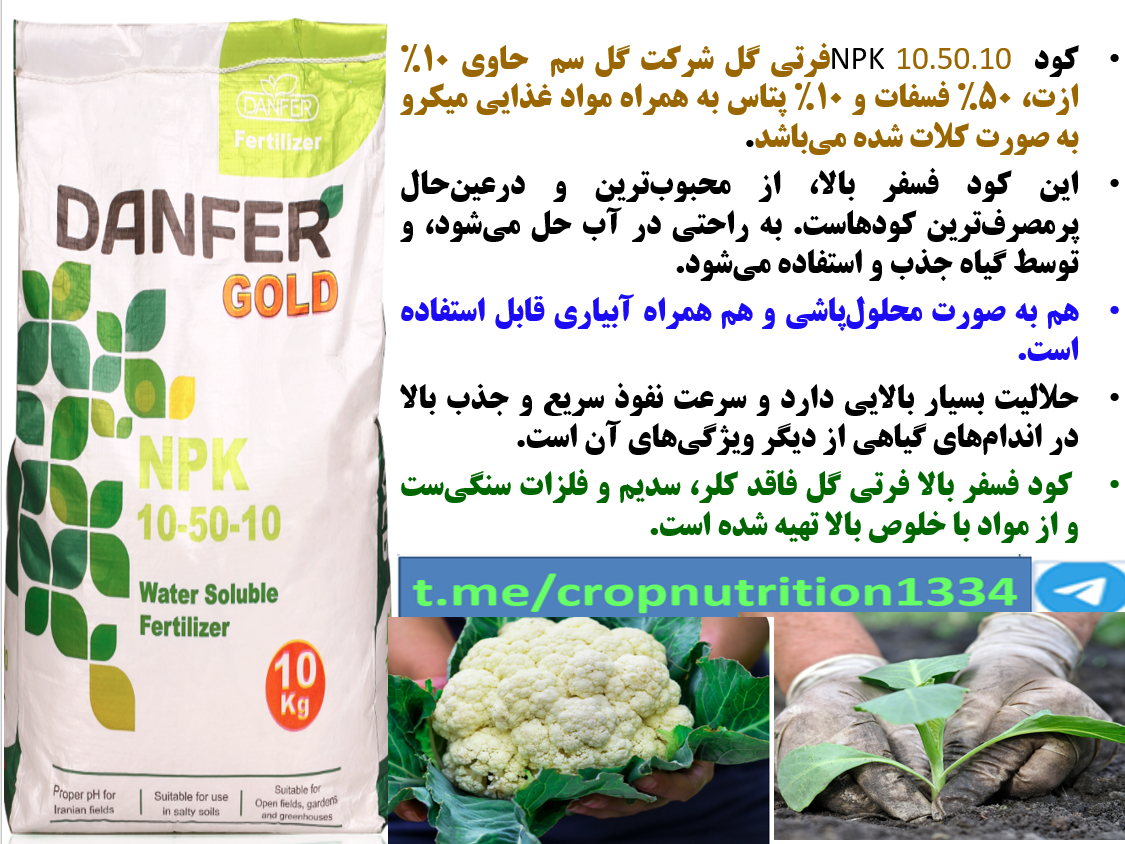 کود فرتی گل ۱۰-۵۰-۱۰ گل سم برای رفع سریع شوک نشا کاری در گیاهان انواع کلم – قسمت سوم 253