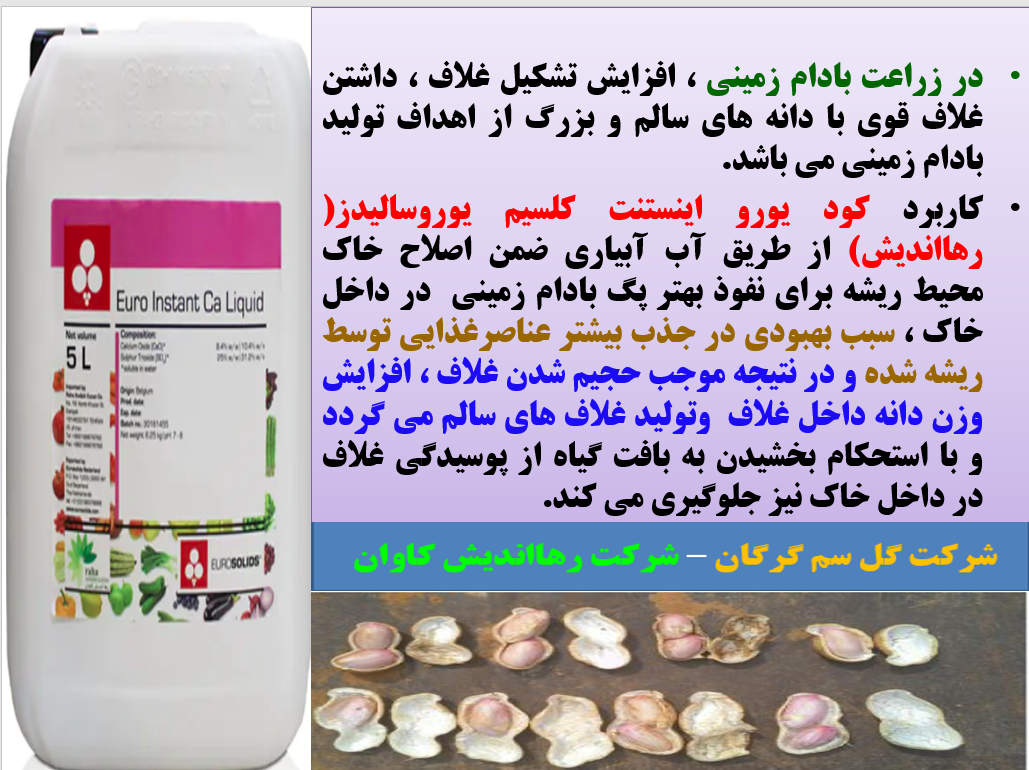 کود یورواینستنت کلسیم رهااندیش برای افزایش تولید بادام زمینی - قسمت اول 243