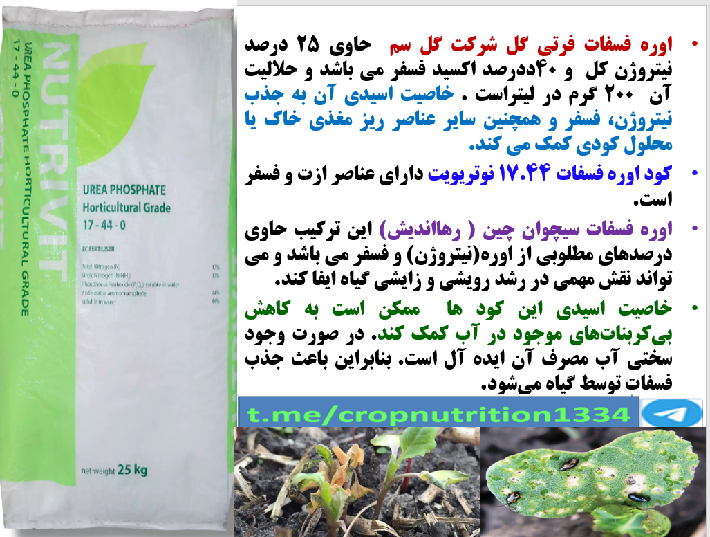 کاربرد کود اوره فسغات فرتی گل سم در اوایل رویش بوته های کلزا – قسمت سوم 205