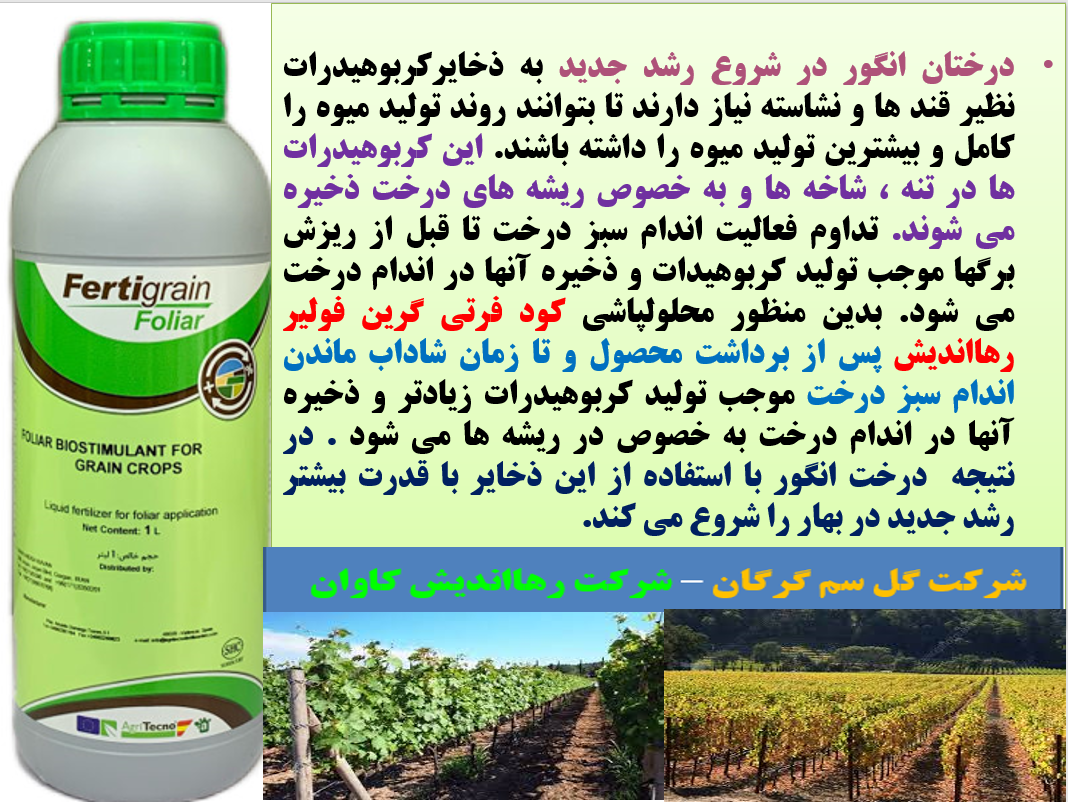 کود فرتی گرین فولیار رهااندیش برای افزایش ذخایر کربوهیدات در اندام درخت انگور- قسمت اول 210