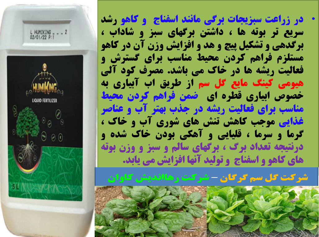 کاربرد کودآلی هیومی کینگ مایع گل سم برای افزایش تولید سبزیجات - قسمت اول 222