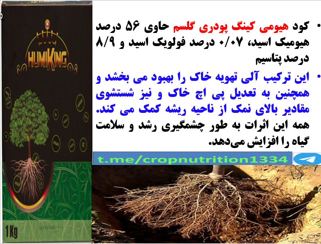 تقویت ریشه درختان میوه در فصول پائیز و زمستان با هیومی کینگ پودری گل سم – قسمت سوم 217