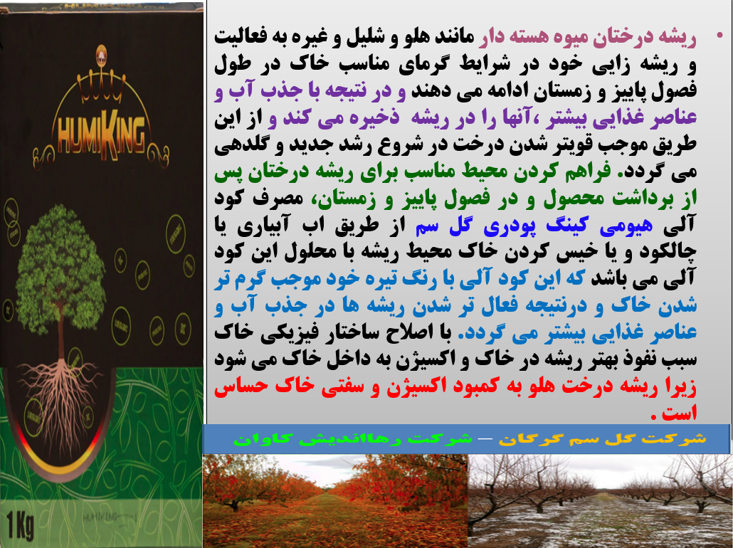 تقویت ریشه درختان میوه در فصول پائیز و زمستان با هیومی کینگ پودری گل سم - قسمت اول 219