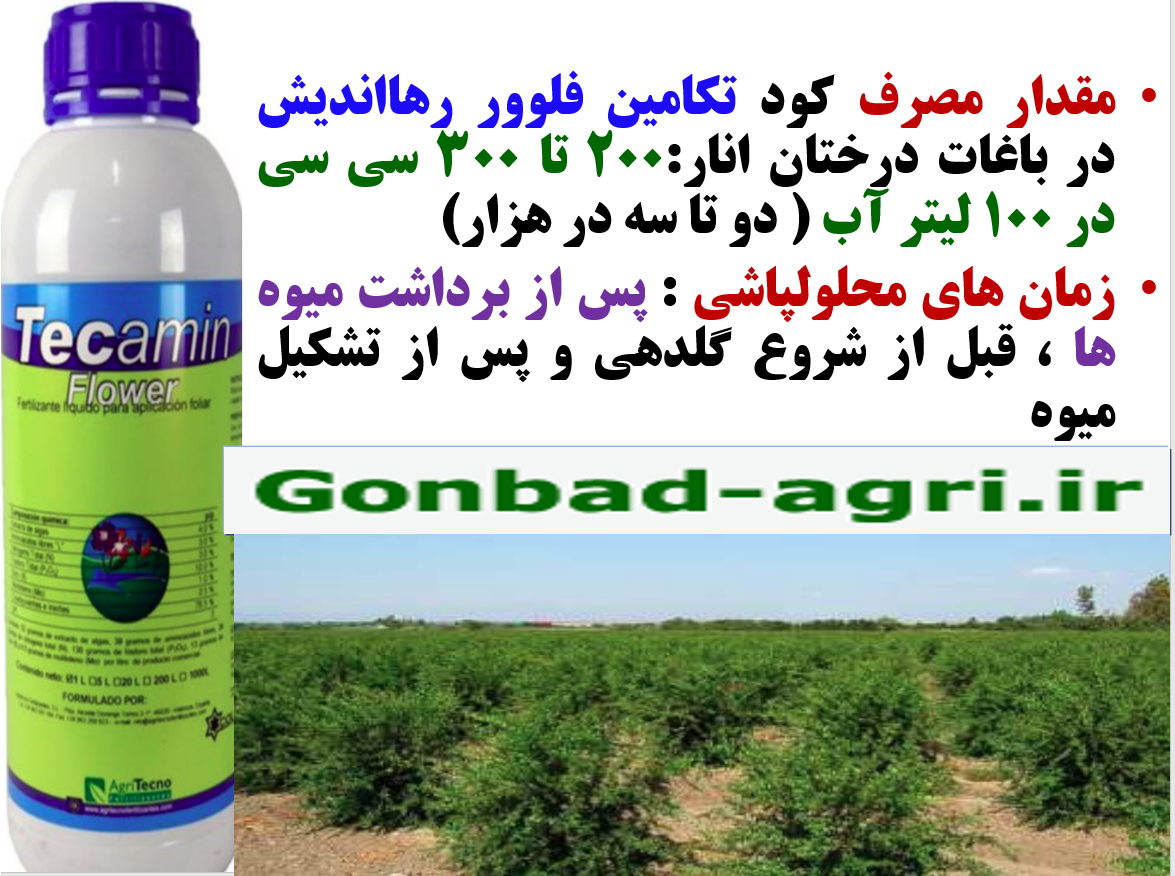 افزایش مقاومت درختان انار در برابر تنش های محیطی با کود تکامین فلوور- قسمت دوم 191