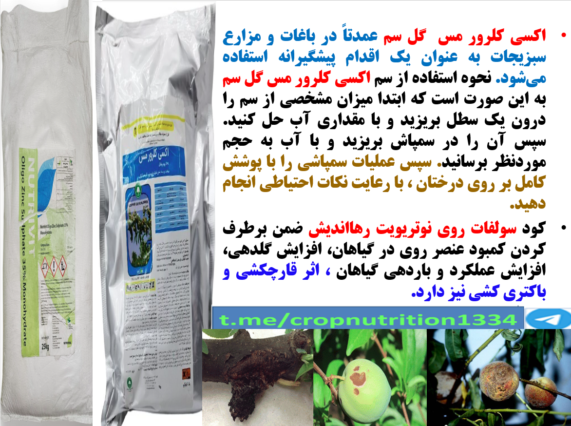 کنترل بیماری های قارچی و باکتریایی درختان میوه هسته دار در پائیز و زمستان – قسمت سوم 181