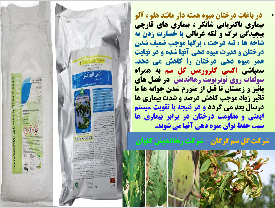 کنترل بیماری های قارچی و باکتریایی درختان میوه هسته دار در پائیز و زمستان - قسمت اول 183