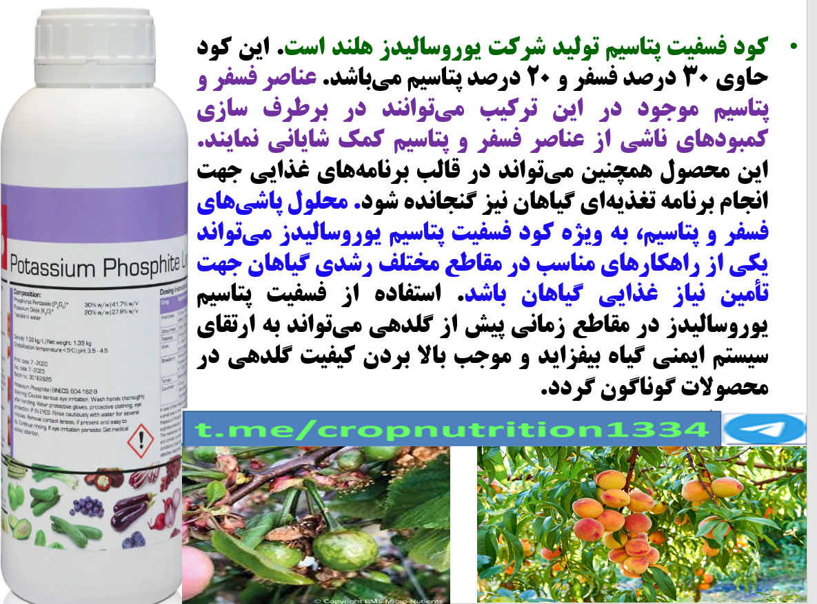 فسفیت پتاسیم یوروسالیدذ رهااندیش برای تقویت درختان میوه در برابر تنش های محیطی – قسمت سوم 175