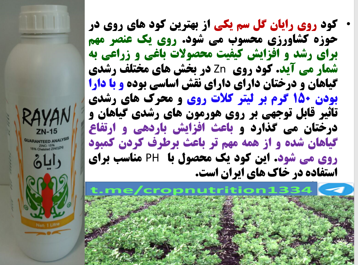 تقویت محصول دهی بوته های باقلا با کود رایان گل سم – قسمت سوم 169