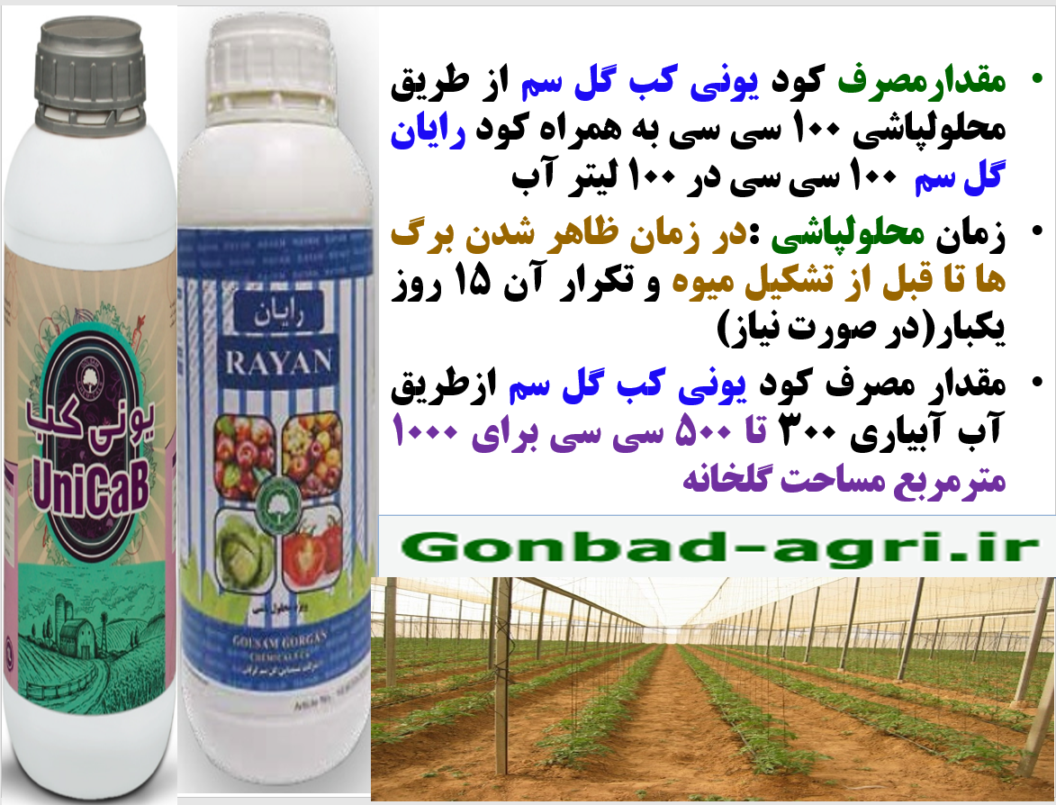 افزایش توان بوته های گوجه فرنگی گلخانه در تولید میوه با کود رایان ویونی کب – قسمت دوم 188