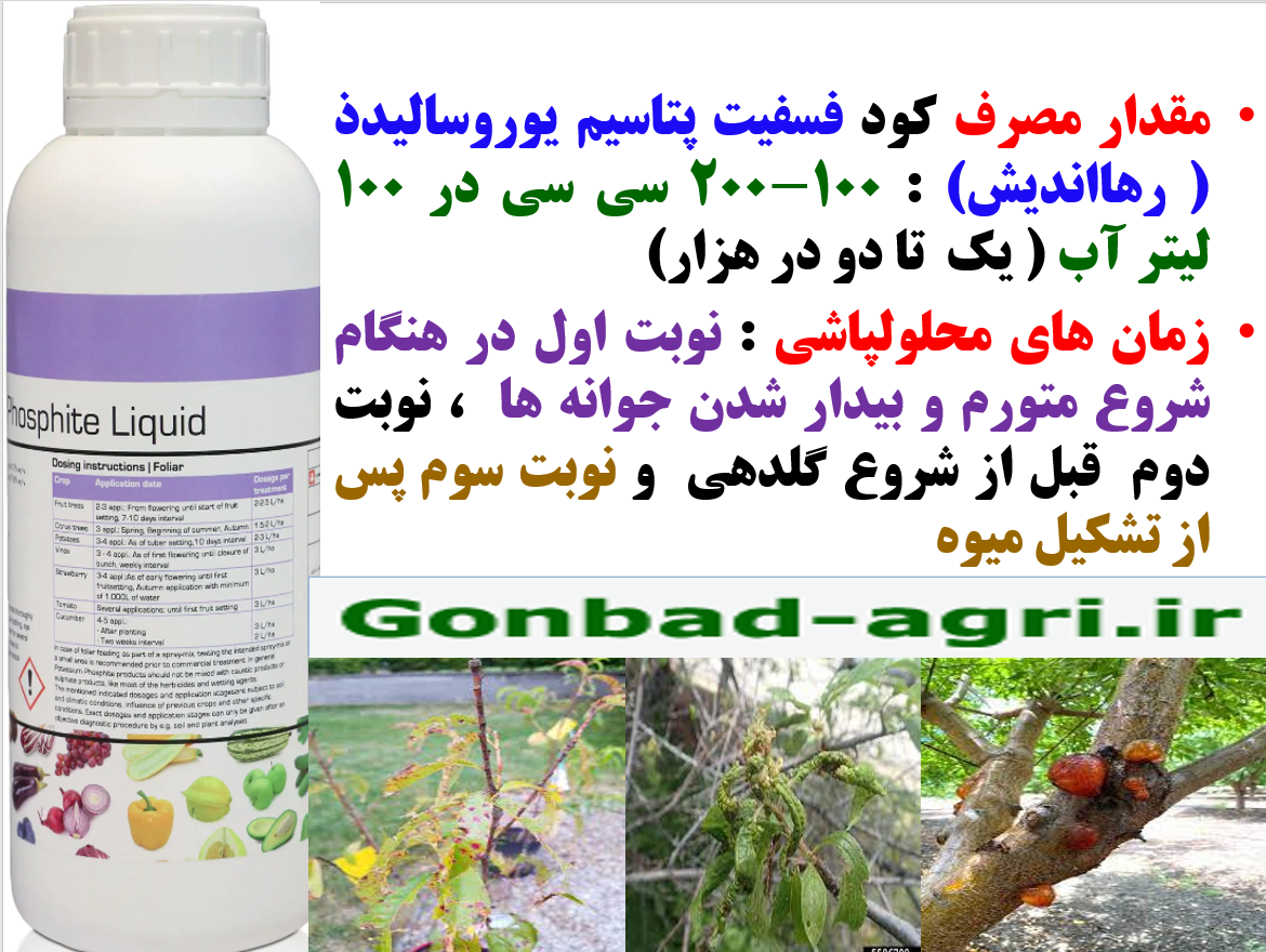 فسفیت پتاسیم یوروسالیدذ رهااندیش برای تقویت درختان میوه در برابر تنش های محیطی – قسمت دوم 176