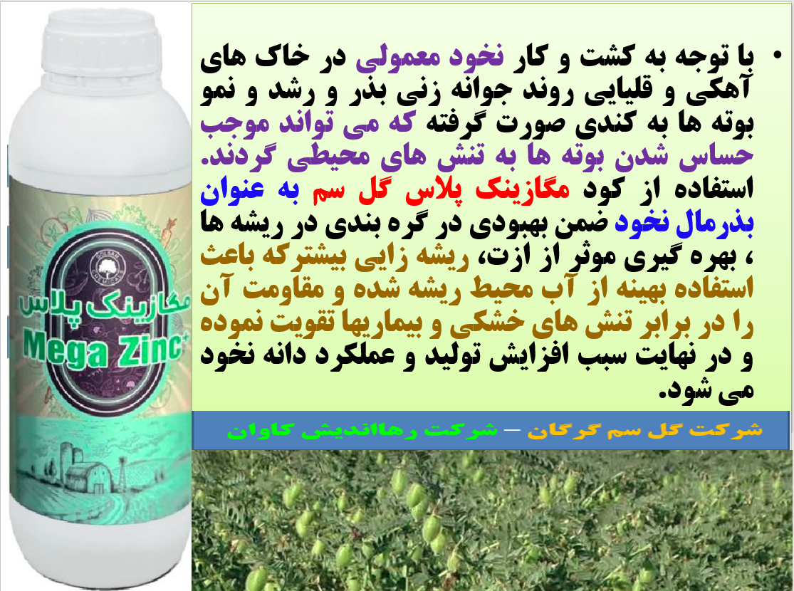 کود روی مگازینک پلاس گل سم برای بذرمال نخود معمولی - قسمت اول 156