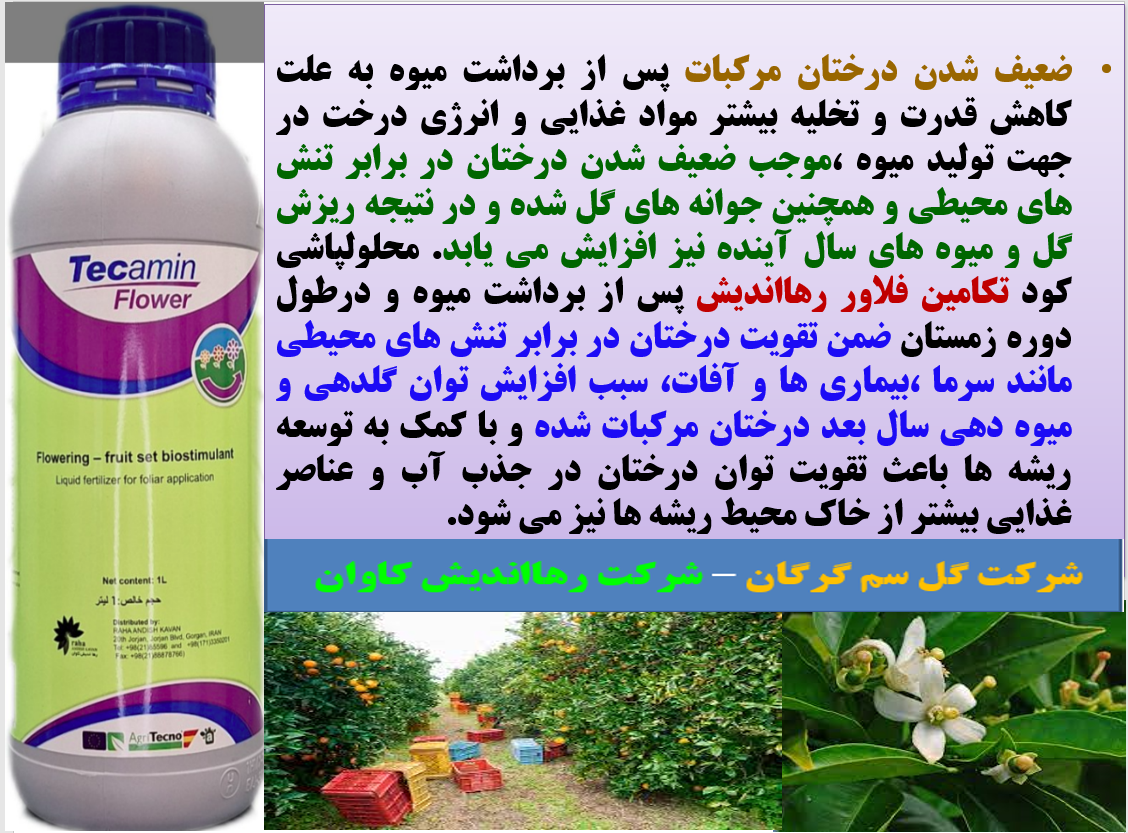 اثر مهم کود آلی تکامین فلاور رهااندیش در تقویت درختان مرکبات - قسمت اول 162