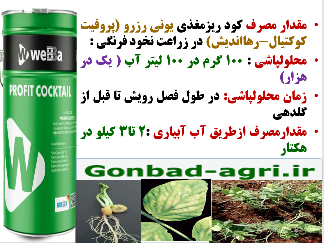 تاثیر کود یونی رزرو یا پروفیت کوکتیل رهااندیش در افزایش تولید نخود فرنگی – قسمت دوم 158