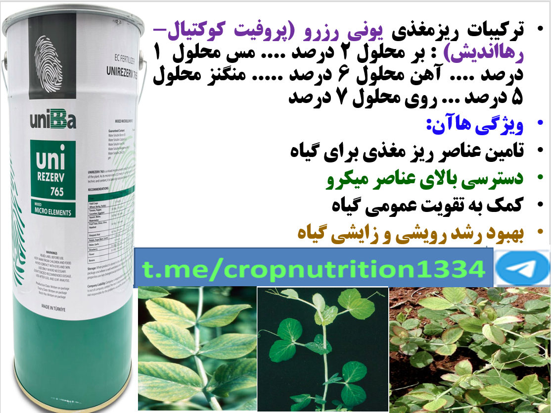 تاثیر کود یونی رزرو یا پروفیت کوکتیل رهااندیش در افزایش تولید نخود فرنگی – قسمت سوم 157