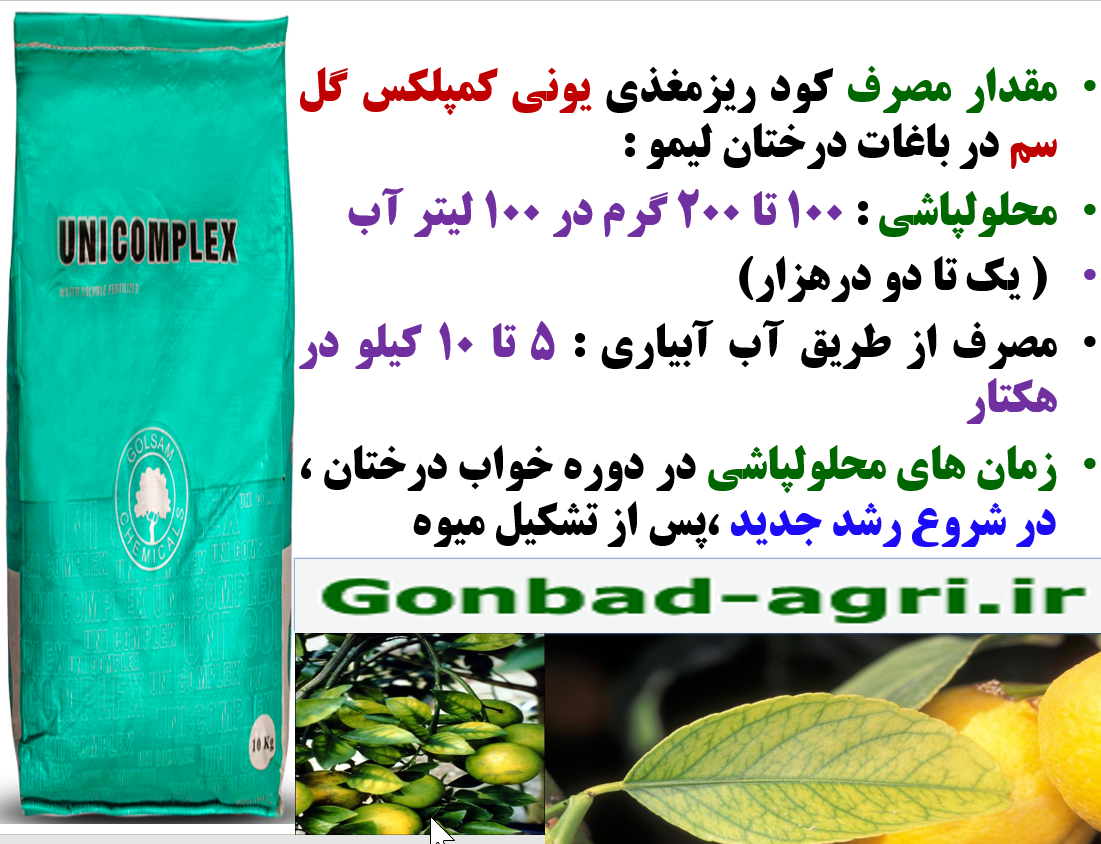 تاثبرکود یونی کمپلکس گل سم در افزایش تولید و کیفیت میوه لیمو ها – قسمت دوم 149